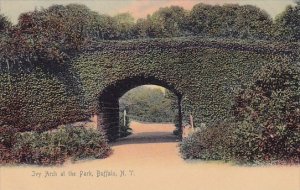 Ivy Arch At The Park Buffalo New York