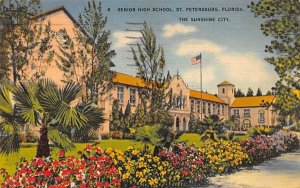 Senior High School St Petersburg, Florida