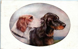 1910s Two Hunting Dogs Setters Italian Postage Postcard