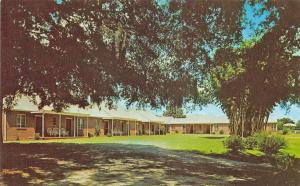 Florence SC Camellia Motel Located on U.S.301 Postcard