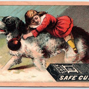 c1880s Warner's Safe Cure Quack Medicine Trade Card Girl Ride Dog Drug Box C48