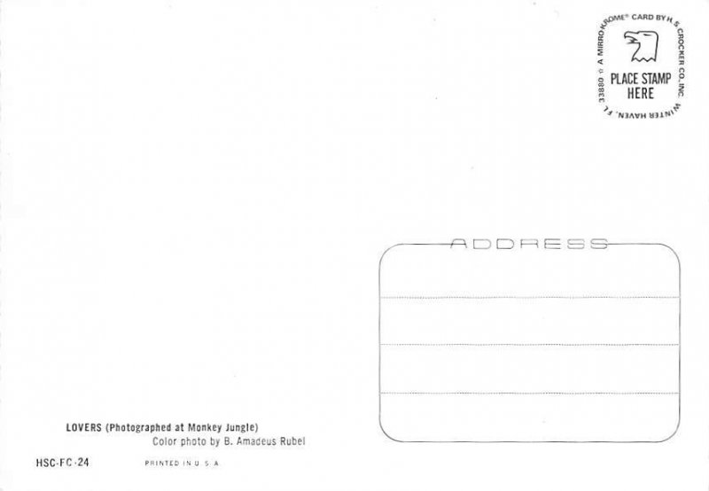 Lovers, Photographed At Monkey Jungle  