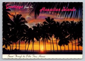 Greetings From The Hawaiian Island Hawaii Vintage Unposted Sunset Palm Trees