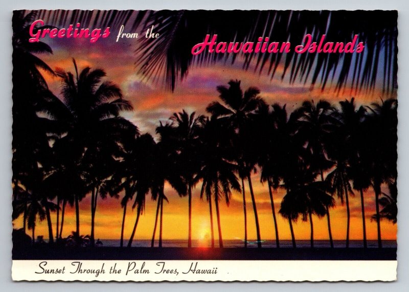 Greetings From The Hawaiian Island Hawaii Vintage Unposted Sunset Palm Trees