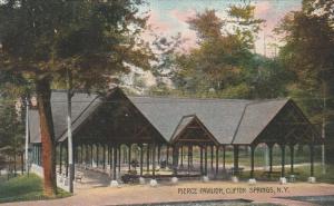 Pierce Pavilion Picnic Area - Clifton Springs NY, New York - DB