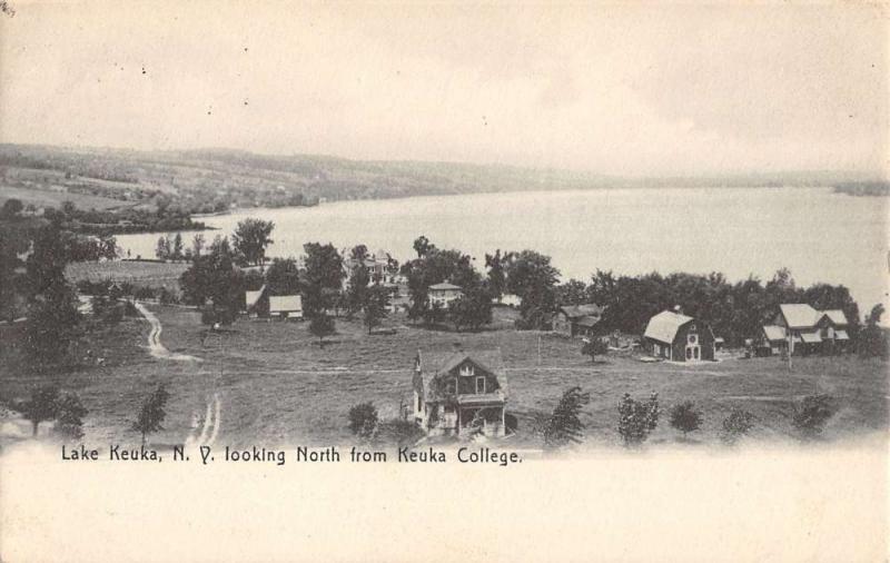 Lake Keuka New York College Birdseye View Antique Postcard K23225