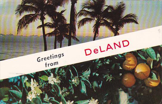 Greetings From Deland Florida 1981