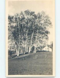 Pre-1917 rppc nature NICE LARGE GROUP OF TREES ON HILL BY THE HOUSE HM0567