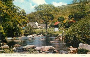 Postcard UK England Dartmoor, Devon Badgers holt
