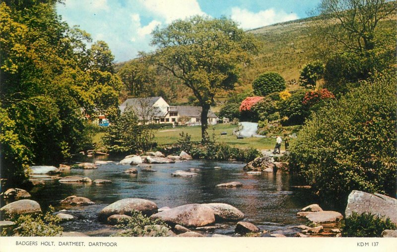 Postcard UK England Dartmoor, Devon Badgers holt