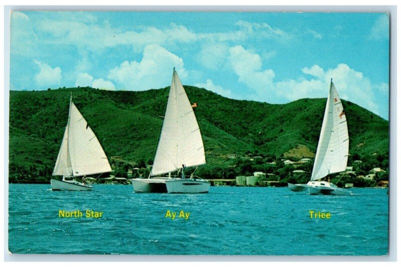 c1960s Dick Newick Sea Rovers Sailboats Tour Virgin Islands Buck Island Postcard 