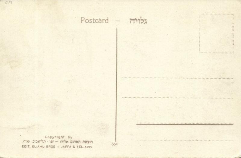 israel palestine, TIBERIAS טְבֶרְיָה, Street Scene (1920s) Eliahu Bros. Postcard