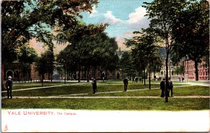 USA Yale University The Campus New Haven Connecticut Vintage Postcard C025