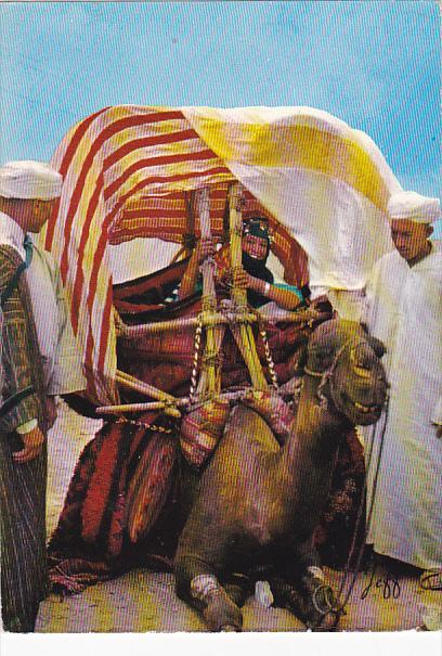 A Wedding In The Upper Atlas With Camel