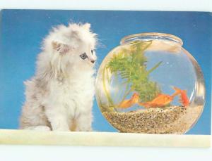 Pre-1980 KITTEN CAT WATCHING GOLDFISH IN BOWL AC7108