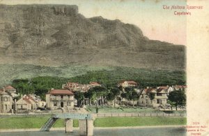 PC CPA SOUTH AFRICA, CAPETOWN, MOLTENO RESERVOIR, VINTAGE POSTCARD (b15700)