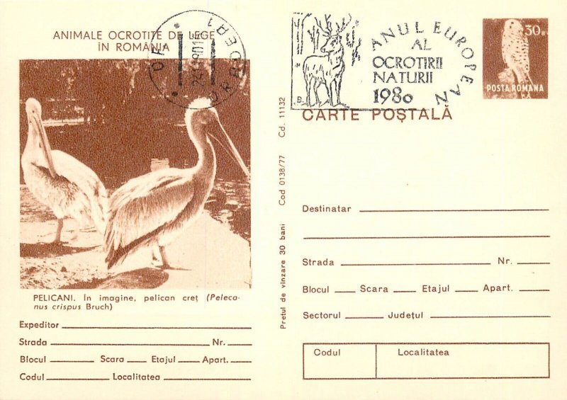 Set of 20 postal stationery postcards animals protected by law in Romania 1980