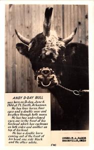 Andy D Day Bull Four horns, four eyes, & a Double Nose Cow Oddity Unused 