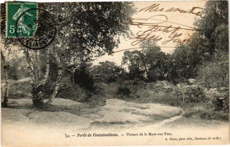 CPA Foret de FONTAINEBLEAU - Plateau de la Mare aux Fées (248891)