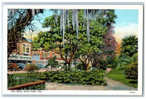 Avon Park Florida Postcard The Mall Building Exterior Trees c1940's Vintage Cars