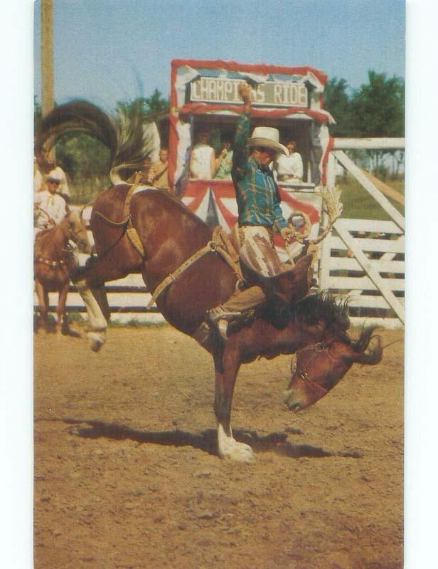 Pre-1980 RODEO BUCKING BRONCO Sentinel Butte - Near Medora & Dickinson ND E6025