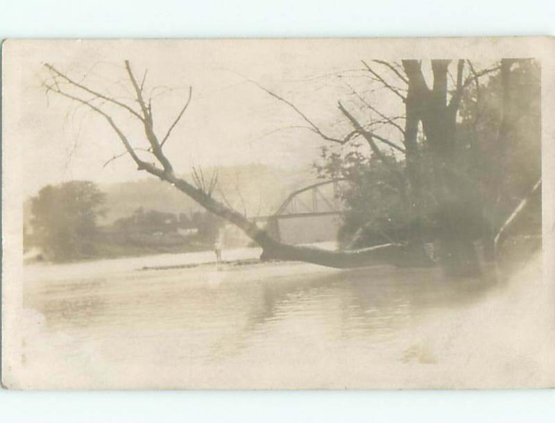 rppc Pre-1918 TREE BRANCHES ABOVE FLOOD WATERS AC7580