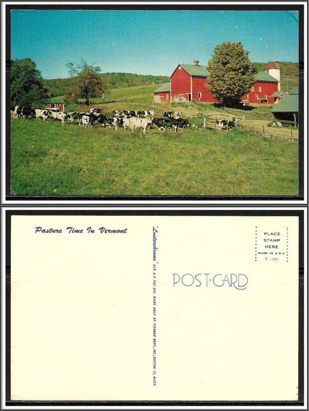 Vermont - Pasture Time In Vermont - [VT-025]