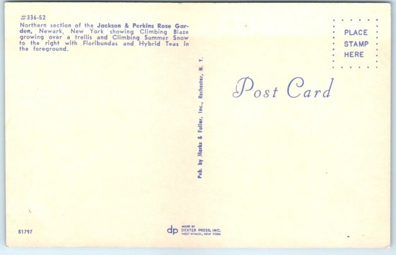 Postcard - Northern section of the Jackson & Perkins Rose Garden - Newark, N. Y.
