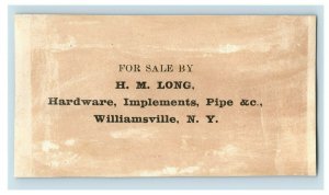 1880s H.M. Long Hardware Implements Williamsville, NY Milkmaid Cow P216