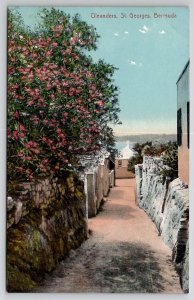 Bermuda Oleanders St Georges Postcard B46