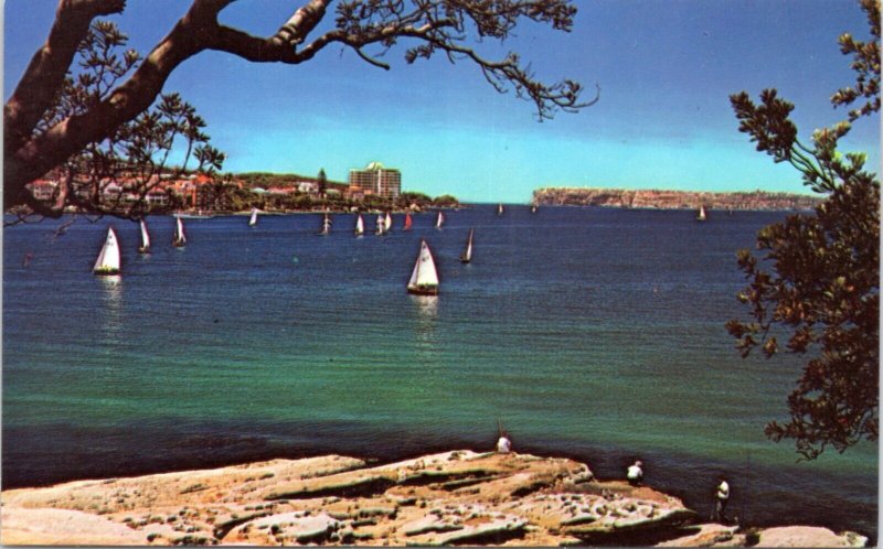 Postcard Australia NSW - North Harbor, Manly