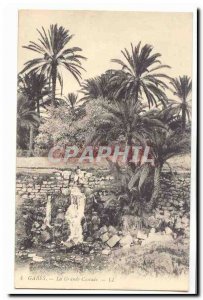 Tunisia Gabes Old Postcard The great waterfall