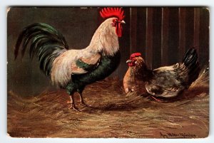 Postcard Rustic Roosters In Barn Signed Muller Germany Barnyard Animals 1907