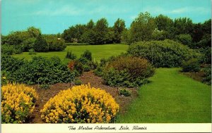Joy Morton Arboretum Lisle IL Illinois Woody Plants Outdoor Museum VTG Postcard 