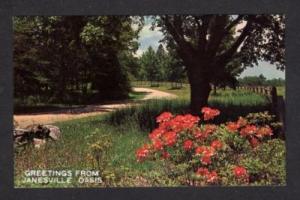 WI Greetings from JANESVILLE OASIS WISCONSIN Postcard