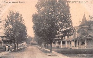 Walnut Street in Margaretville, New York