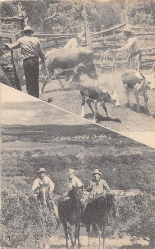 D93/ Hondo Texas Tx Postcard 1944 2View Cowboys Cattle Range Corral 