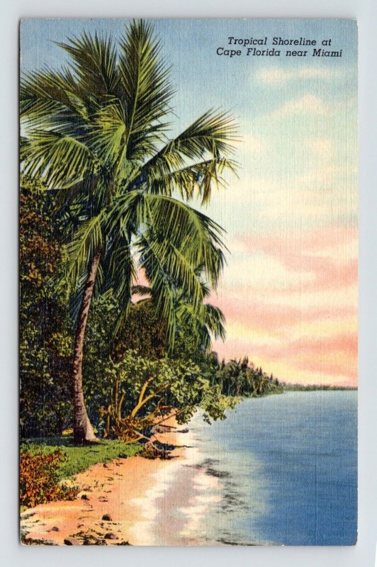 Tropical Shoreline Cape Florida Miami Beach Palms Oceanfront Vintage Postcard 