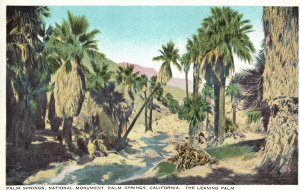 Vintage Postcard Leaning Palm Springs National Monument Palm Springs California