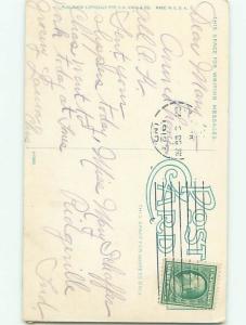 Divided-Back HORSE SCENE Great Postcard AA9445