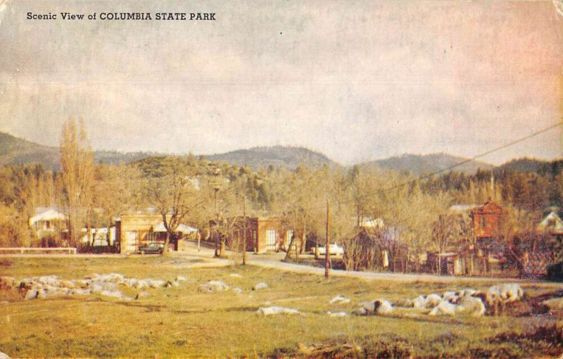 Columbia State Park Fire Department Scenic View Vintage Postcard AA47307