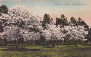 The Three Graces Pinehurst North Carolina Handcolored Albertype