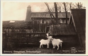 Sweden Gothenburg Göteborg Slottsskogen Smalandsstugan Vintage RPPC C039