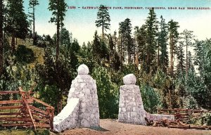 C.1910 Gateway, South Park, Pinecrest, California Postcard P122