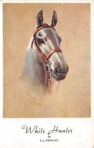 White Hunter EL Beckles Horse 1954 