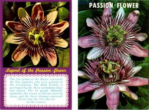 2~Vintage Chrome Postcards PASSION FLOWER & RELIGIOUS LEGEND Purple Petals