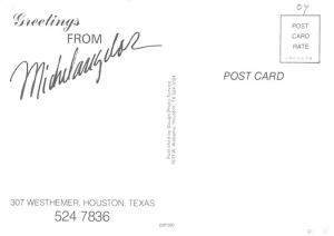 Michelangador - Houston, Texas