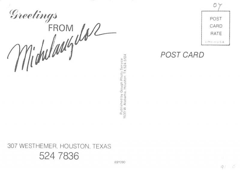 Michelangador - Houston, Texas