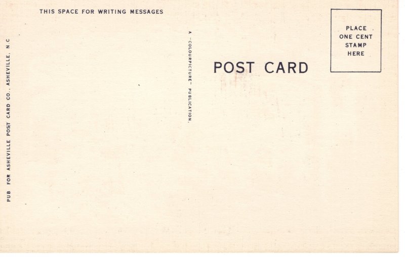 US    PC5587 GREETING FROM TEXAS, LARGE LETTER