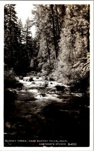 RPPC View of Burney Creek Near Burney Falls, CA Vintage Postcard H75